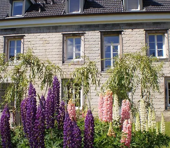 D'hotes Le Clos Des Lesses Bed & Breakfast Fresse-sur-Moselle