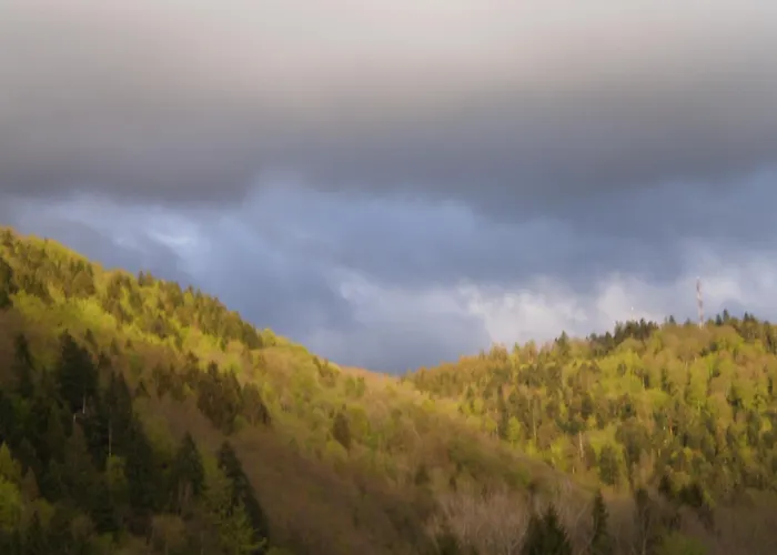 D'hotes Le Clos Des Lesses Bed & Breakfast Fresse-sur-Moselle