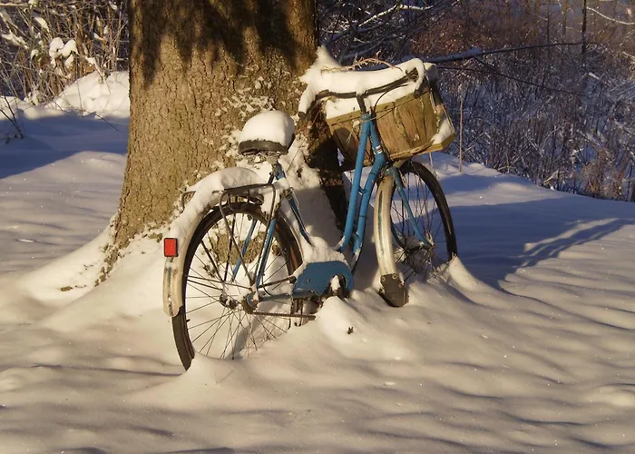 Bed & Breakfast D'hotes Le Clos Des Lesses Fresse-sur-Moselle