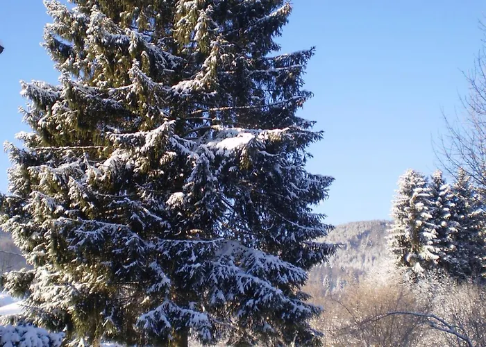 Bed & Breakfast D'hotes Le Clos Des Lesses 3*