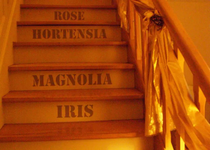 D'hotes Le Clos Des Lesses 3* Fresse-sur-Moselle